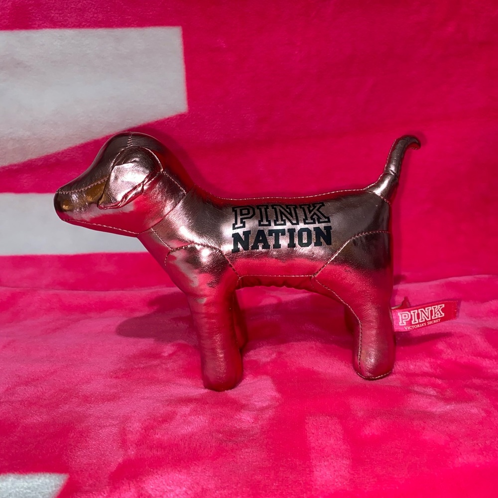 PINK VICTORIA SECRET DOG